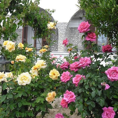 Villa Maria Храни Экстерьер фото
