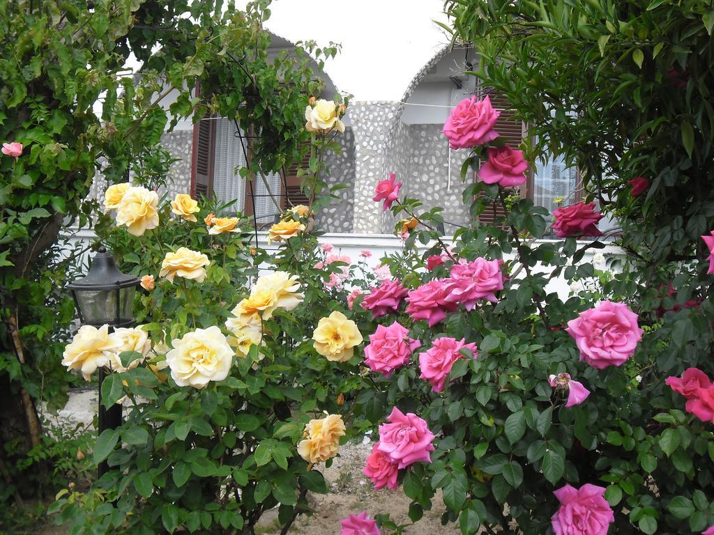 Villa Maria Храни Экстерьер фото